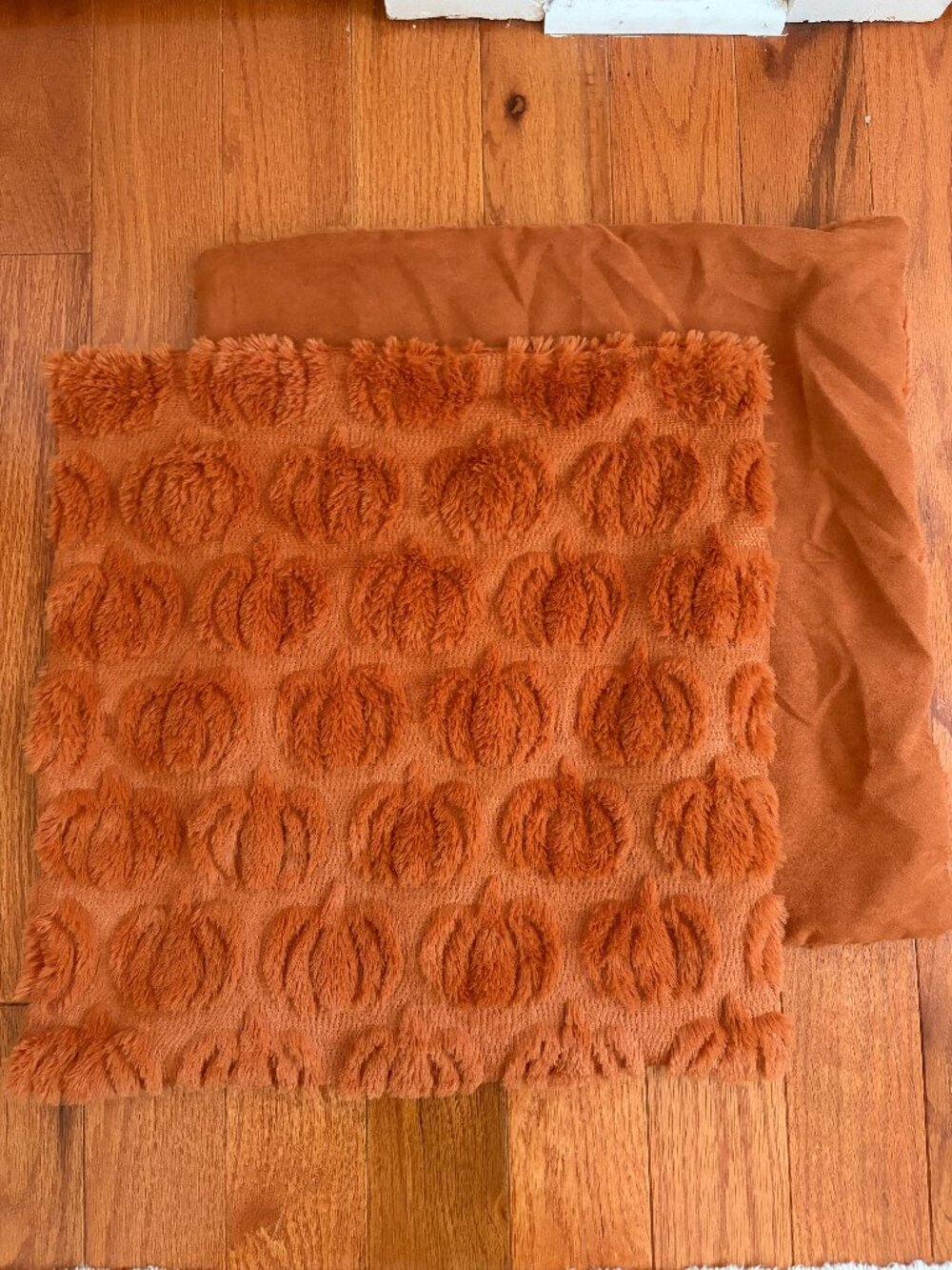 Fall Light Rust Pumpkin Throw Pillow Covers 18x18 Set of 2
